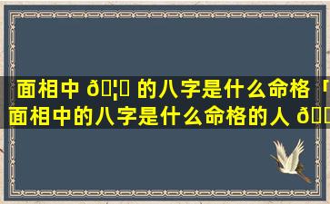 面相中 🦋 的八字是什么命格「面相中的八字是什么命格的人 🌻 」